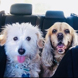 Meet your Posher, Suzanne